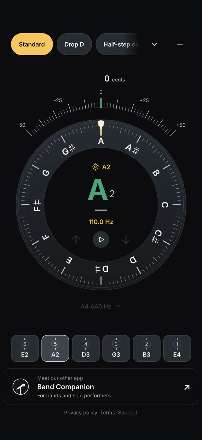 Standard tuning with the A2 string selected at 110 Hz